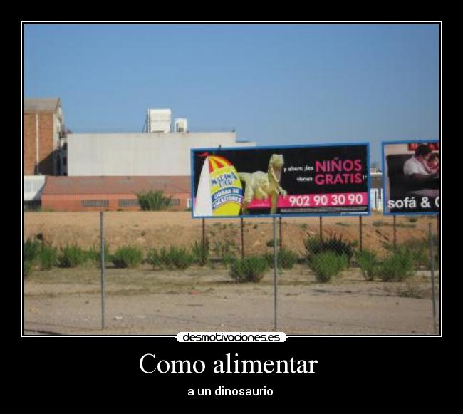 Como alimentar  - 