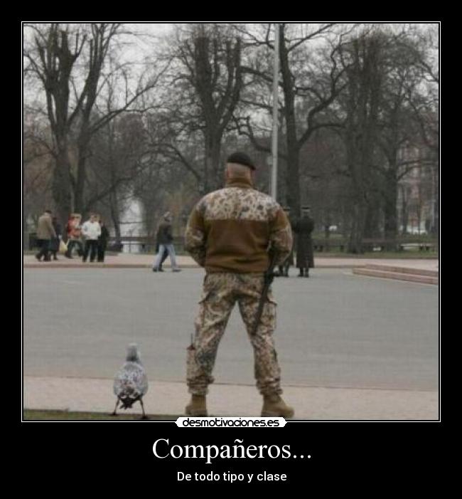 Compañeros... - De todo tipo y clase