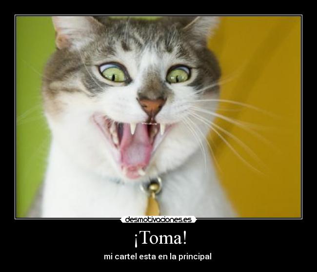 ¡Toma! - 