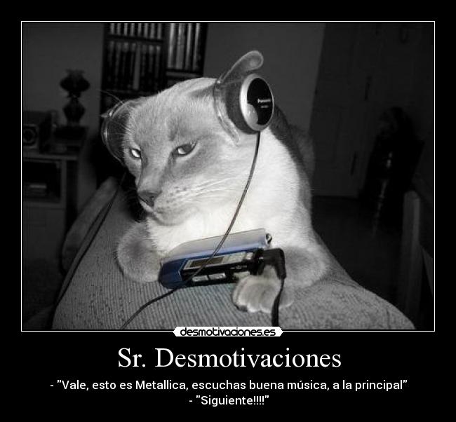 Sr. Desmotivaciones - 