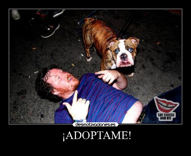 ¡ADOPTAME! - 