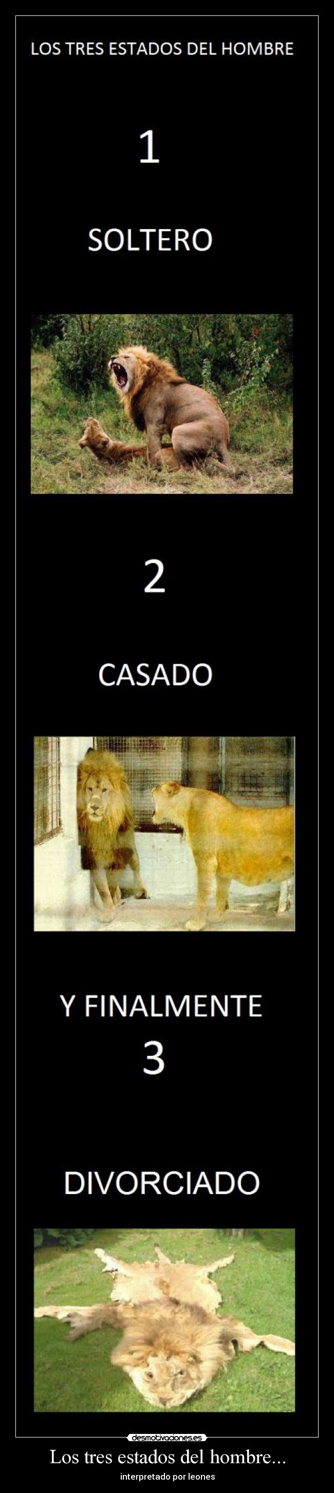 Los tres estados del hombre... - interpretado por leones