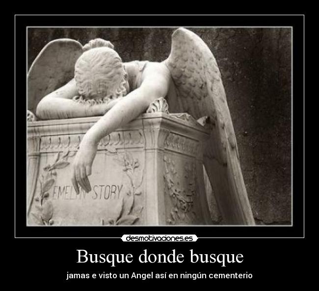 Busque donde busque - 