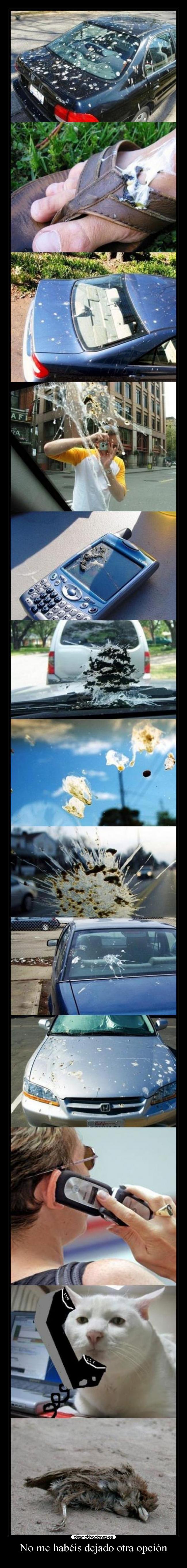 No me habéis dejado otra opción -