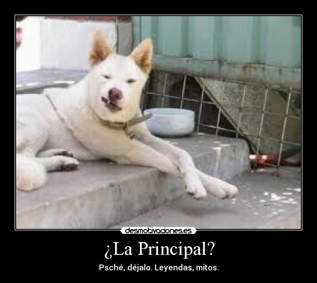 ¿La Principal? - Psché, déjalo. Leyendas, mitos.