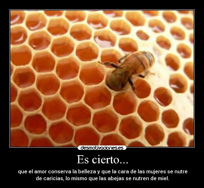 Es cierto... - que el amor conserva la belleza y que la cara de las mujeres se nutre
de caricias, lo mismo que las abejas se nutren de miel.