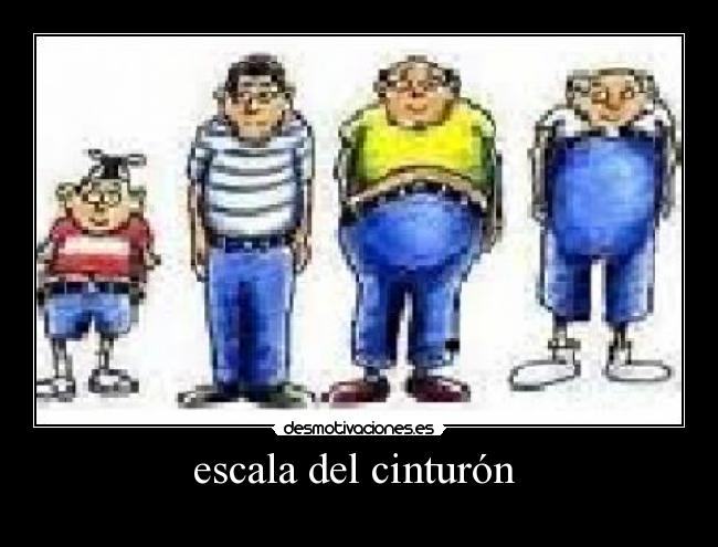 escala del cinturón -