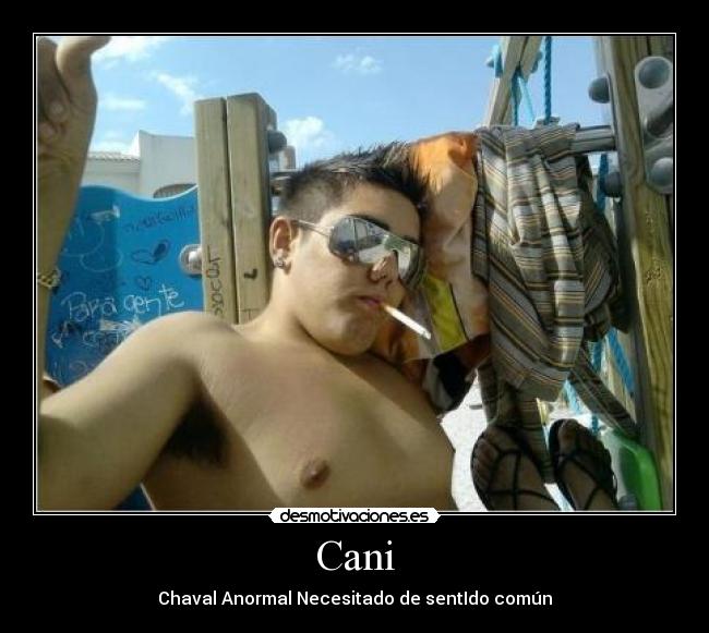 Cani - 