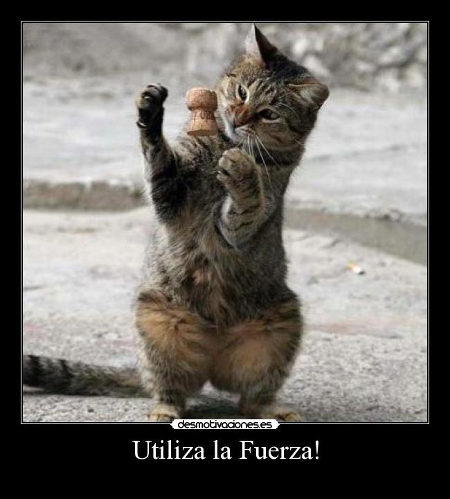 Utiliza la Fuerza! - 