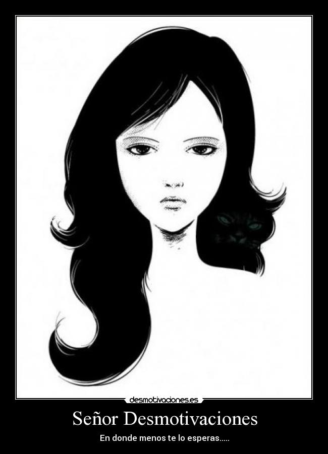 Señor Desmotivaciones - 