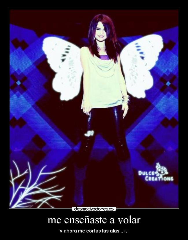 me enseñaste a volar -