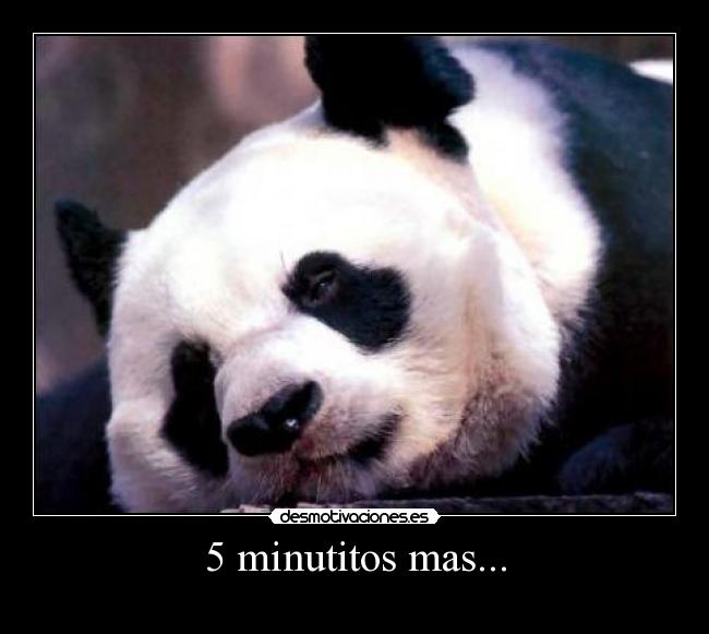 carteles por favor mama cinco minutos desmotivaciones