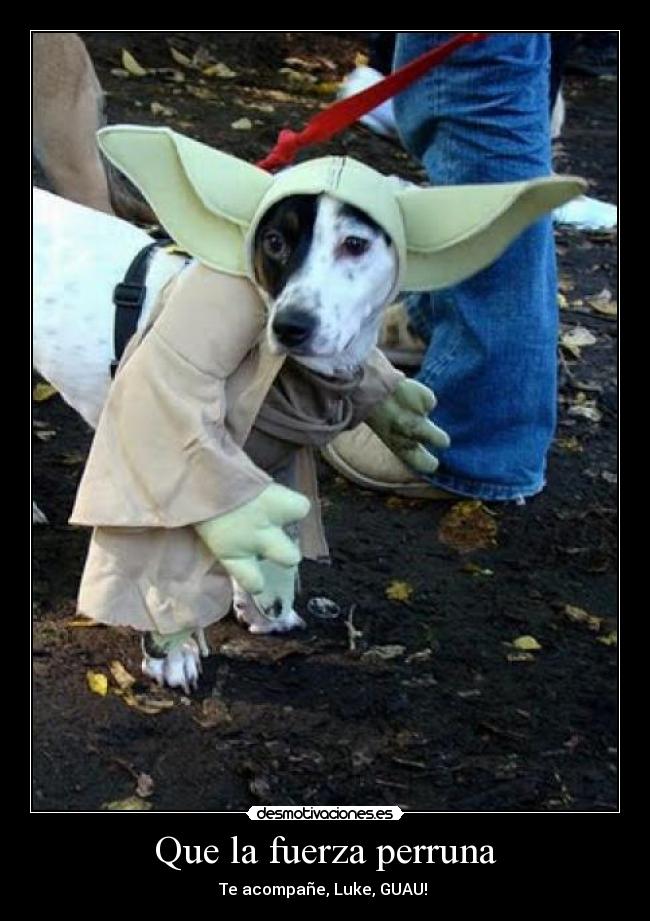 Que la fuerza perruna -