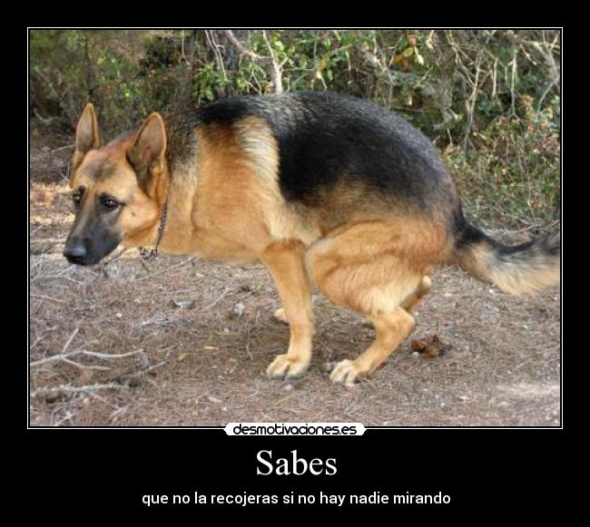 Sabes - que no la recojeras si no hay nadie mirando