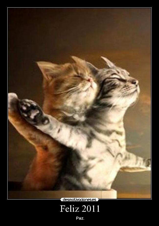 Feliz 2011 -  Paz.