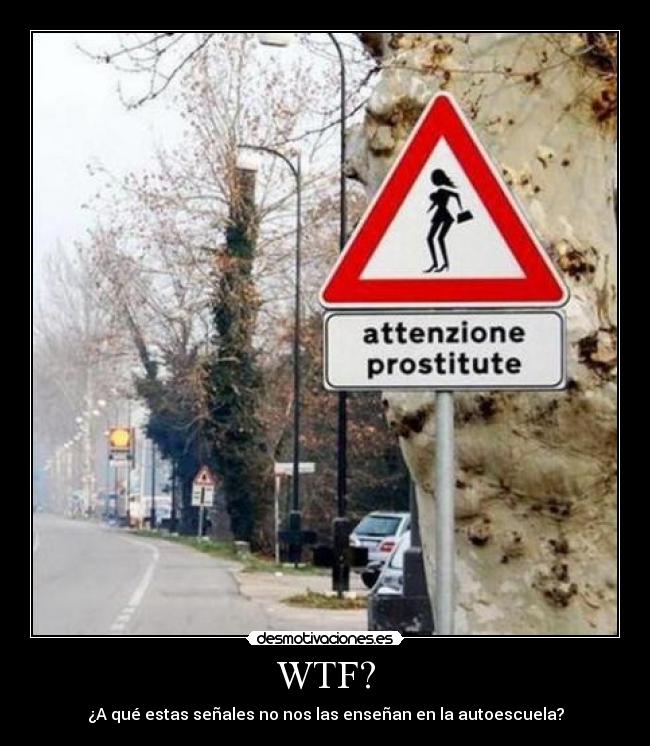 WTF? - ¿A qué estas señales no nos las enseñan en la autoescuela?