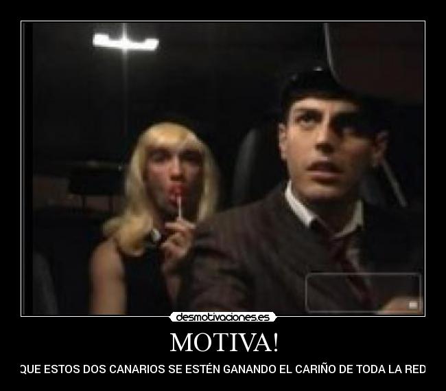 MOTIVA! - QUE ESTOS DOS CANARIOS SE ESTÉN GANANDO EL CARIÑO DE TODA LA RED!