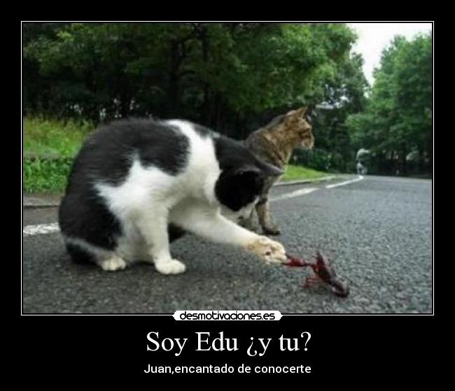 Soy Edu ¿y tu? - Juan,encantado de conocerte