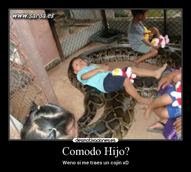 Comodo Hijo? - 