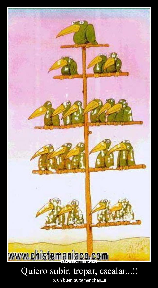 carteles jerarquias desmotivaciones