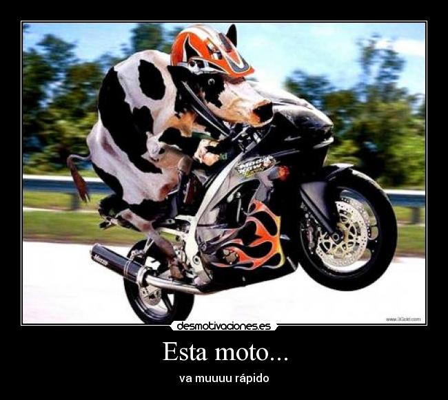 Esta moto... -