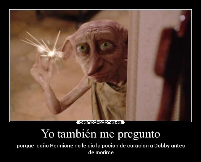 Yo también me pregunto - 