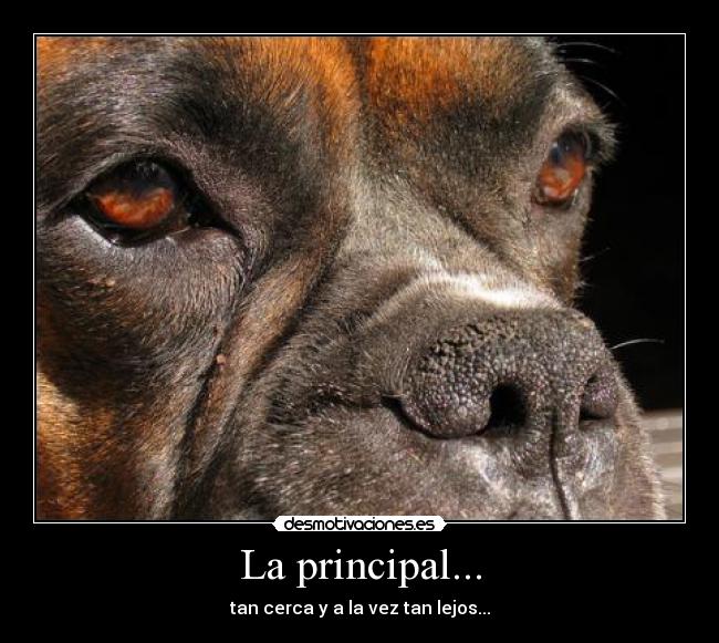 La principal... - 