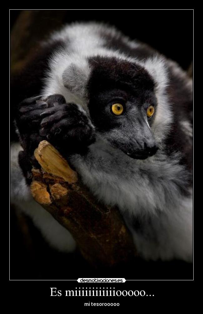 Es miiiiiiiiiiiiooooo... - mi tesorooooo