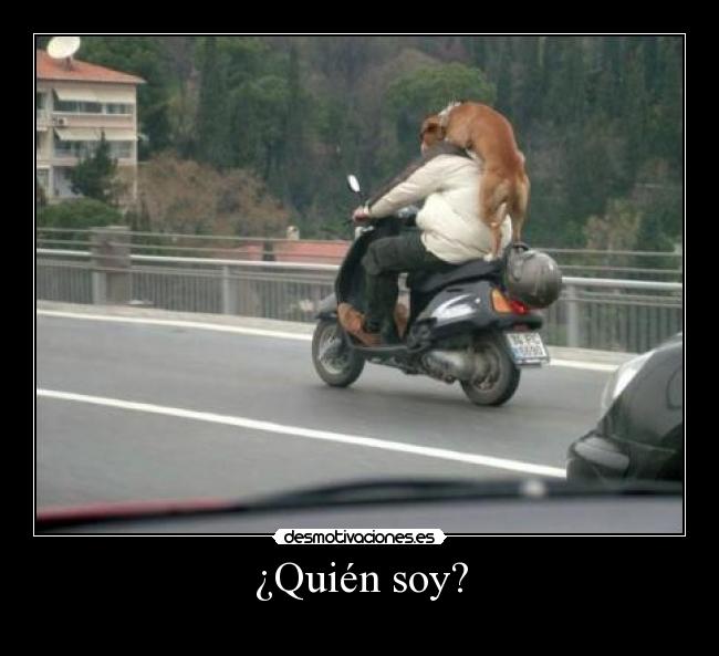 carteles desmotivaciones