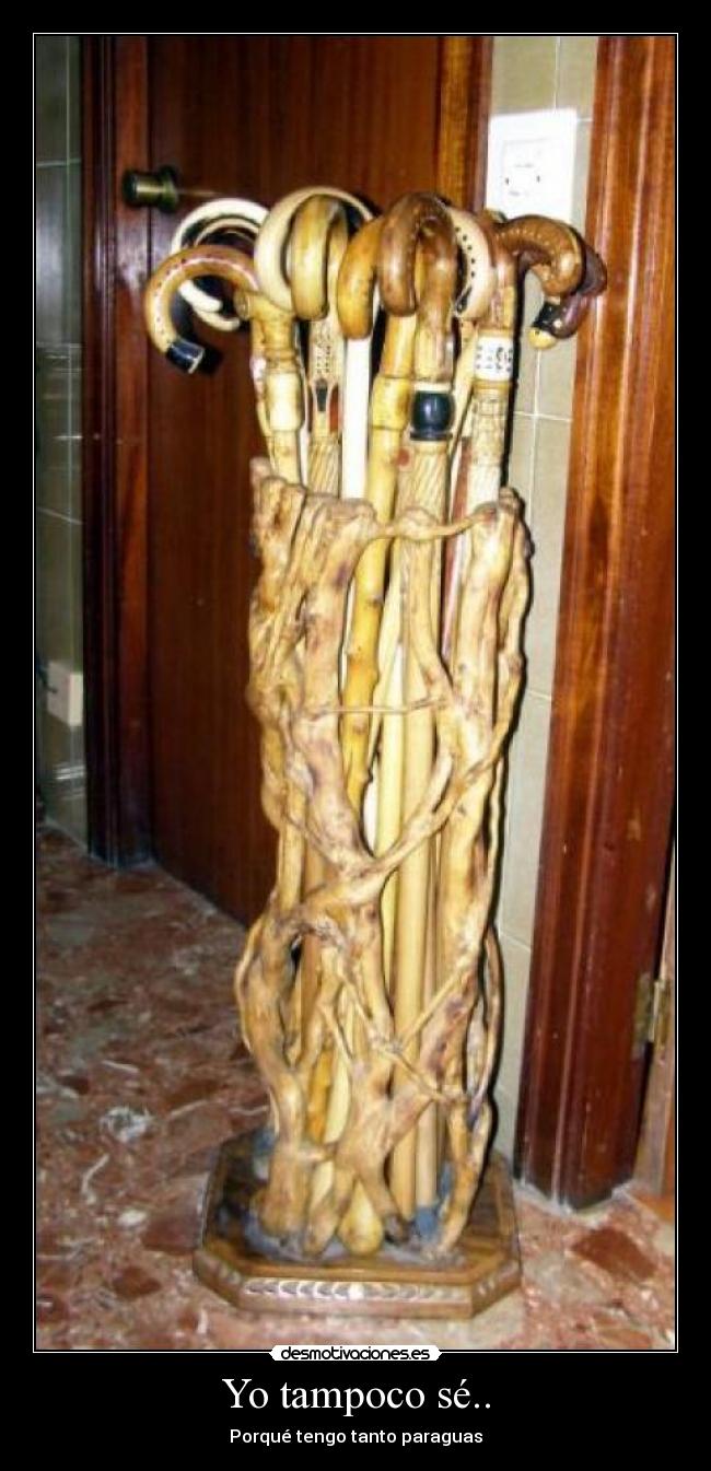 Yo tampoco sé.. - Porqué tengo tanto paraguas