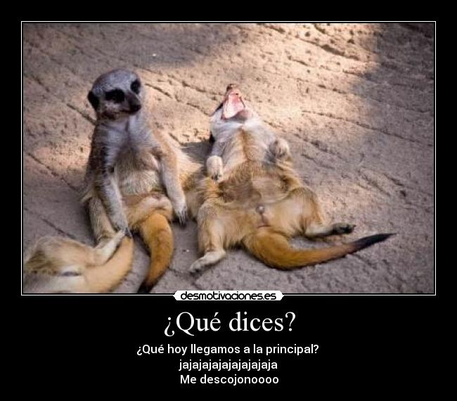 ¿Qué dices? - 