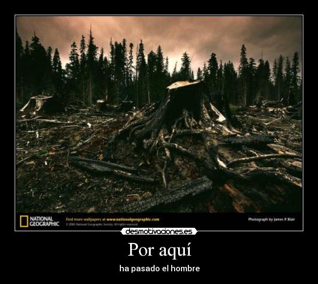 carteles tocotoctocpenny destruccion humana desmotivaciones