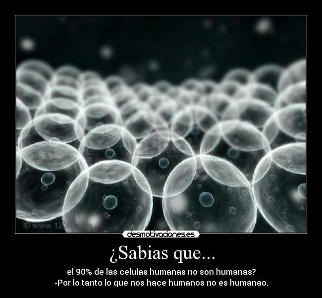 ¿Sabias que... - 