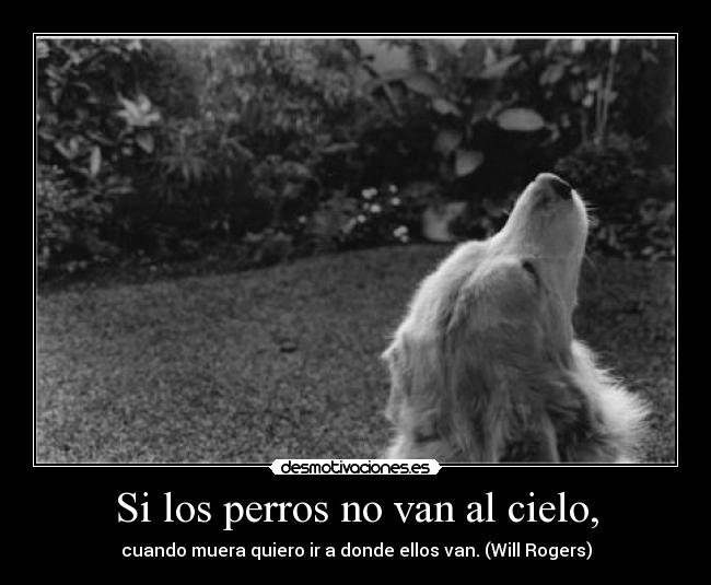 Si los perros no van al cielo, -