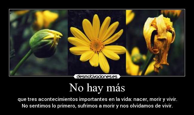 No hay más - que tres acontecimientos importantes en la vida: nacer, morir y vivir.
No sentimos lo primero, sufrimos a morir y nos olvidamos de vivir.