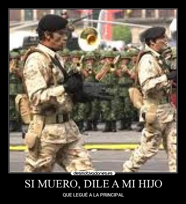 carteles humor desmotivaciones