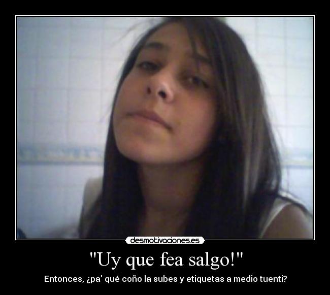 carteles canis desmotivaciones