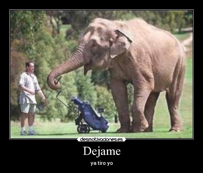 Dejame -