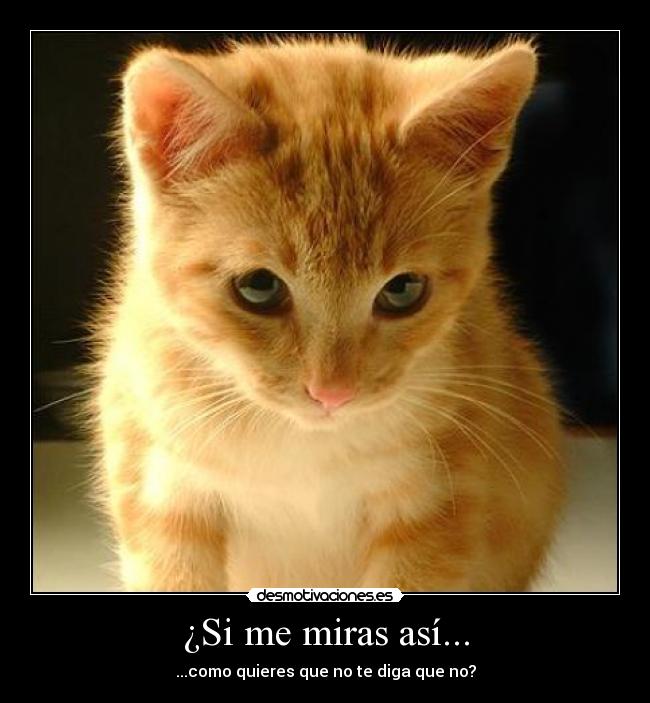 ¿Si me miras así... - ...como quieres que no te diga que no?