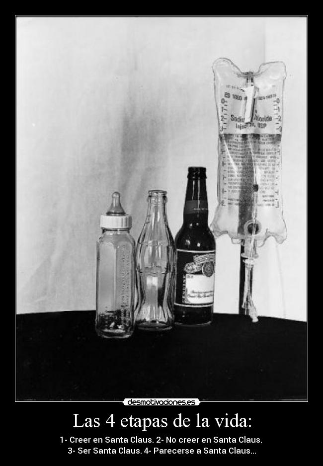 Las 4 etapas de la vida: -