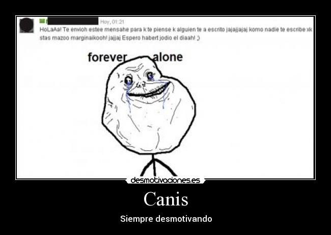 Canis - 