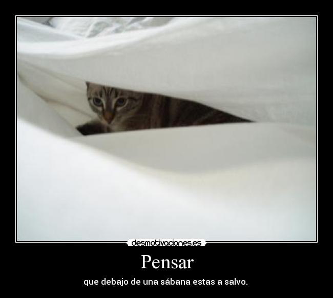 Pensar - 