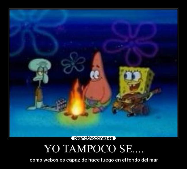 YO TAMPOCO SE.... -
