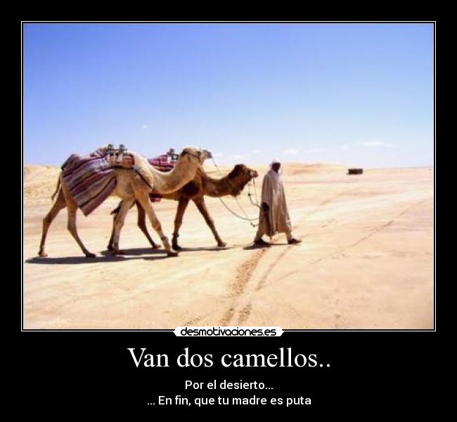 Van dos camellos.. - Por el desierto...
... En fin, que tu madre es puta