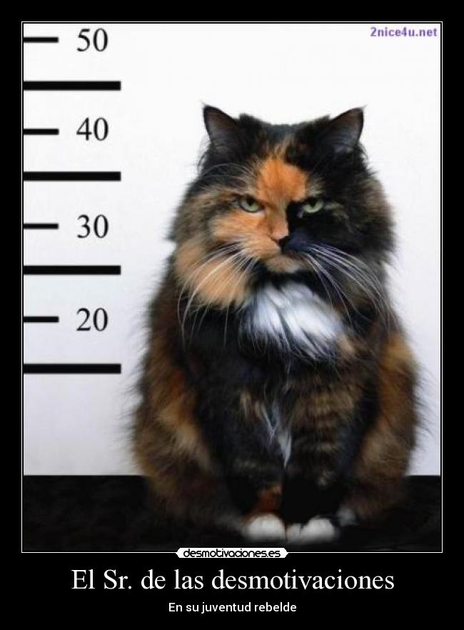 El Sr. de las desmotivaciones - En su juventud rebelde