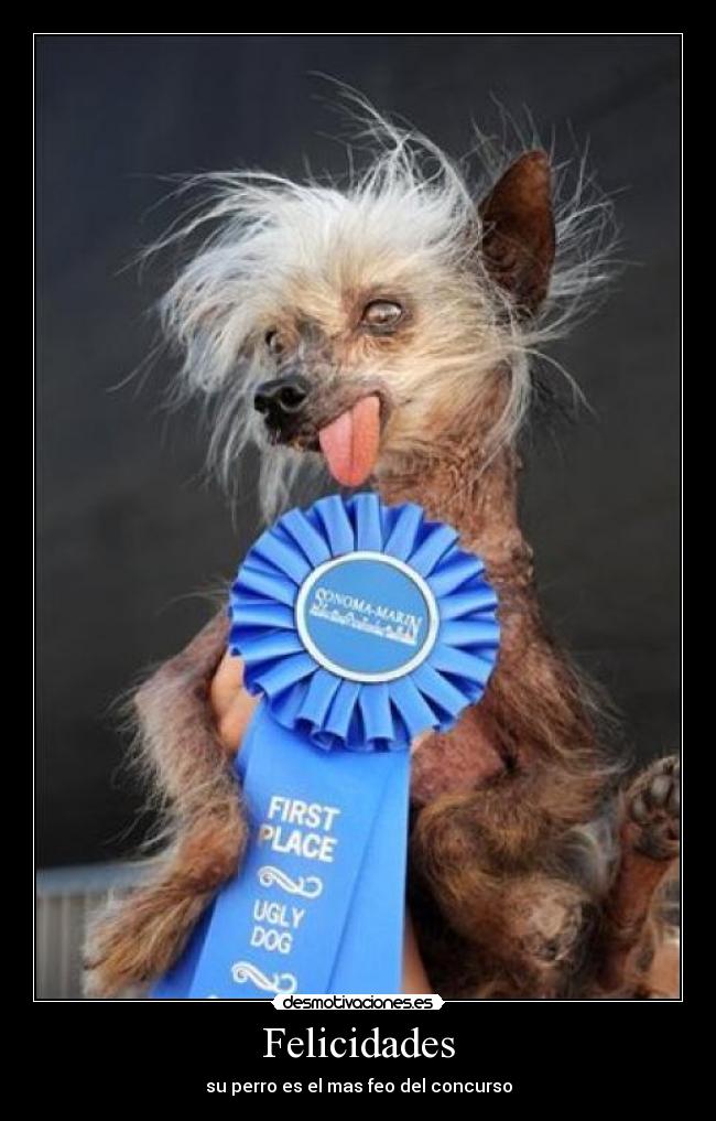 Felicidades - su perro es el mas feo del concurso