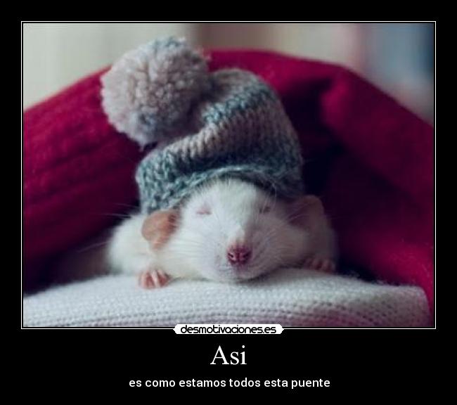 Asi - es como estamos todos esta puente