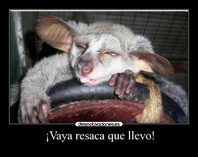 ¡Vaya resaca que llevo! - 