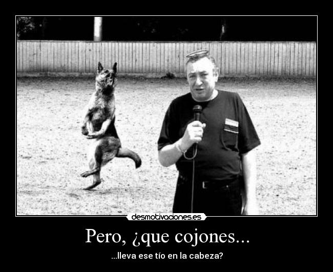 Pero, ¿que cojones... -