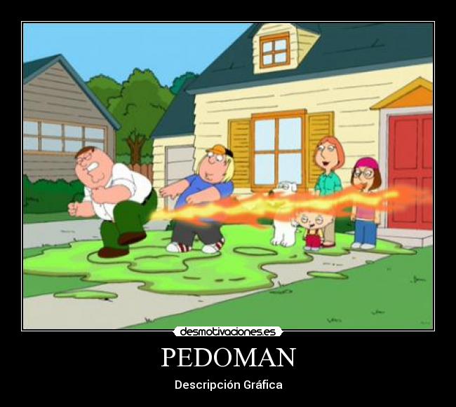 PEDOMAN - Descripción Gráfica